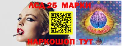 спиды Коммунар