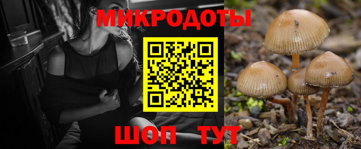 Кудымкар  Галлюциногенные грибы MAGIC MUSHROOMS  Вход с VPN  Галлюциногенные грибы прущие грибы 